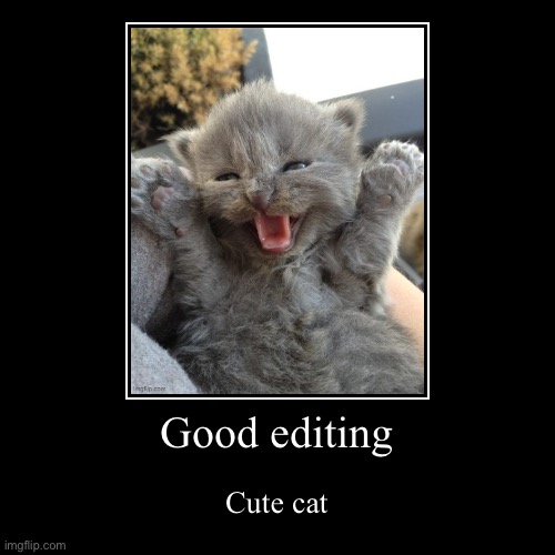 Good editing | Cute cat | image tagged in funny,demotivationals,animals,cute cat | made w/ Imgflip demotivational maker