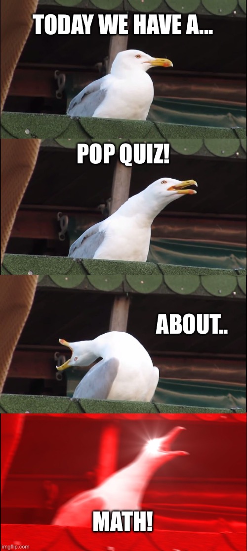 pov the teacher gives u a pop quiz | TODAY WE HAVE A... POP QUIZ! ABOUT.. MATH! | image tagged in memes,inhaling seagull | made w/ Imgflip meme maker