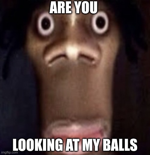Quandale dingle | ARE YOU; LOOKING AT MY BALLS | image tagged in quandale dingle | made w/ Imgflip meme maker