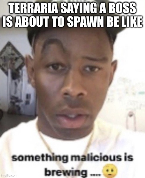 Something malicious is brewing | TERRARIA SAYING A BOSS IS ABOUT TO SPAWN BE LIKE | image tagged in something malicious is brewing | made w/ Imgflip meme maker