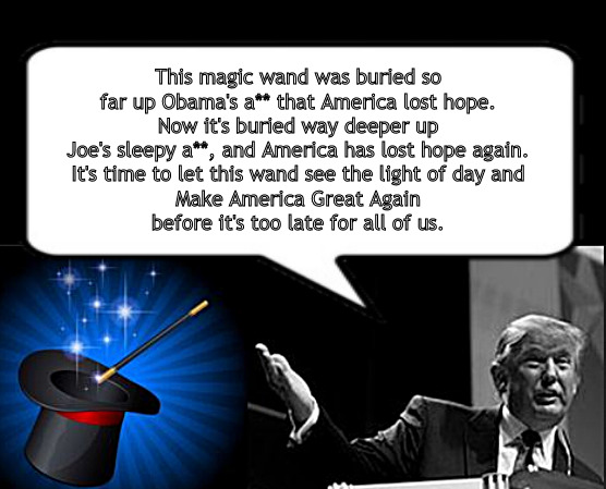 The magic wand is hidden again | This magic wand was buried so far up Obama's a** that America lost hope.
Now it's buried way deeper up Joe's sleepy a**, and America has lost hope again.
It's time to let this wand see the light of day and
Make America Great Again
before it's too late for all of us. | image tagged in memes,politics,trump,biden,usa | made w/ Imgflip meme maker