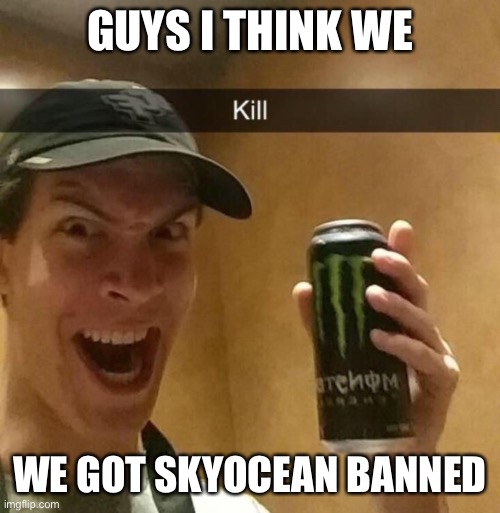 Kill guy | GUYS I THINK WE; WE GOT SKYOCEAN BANNED | image tagged in kill guy | made w/ Imgflip meme maker