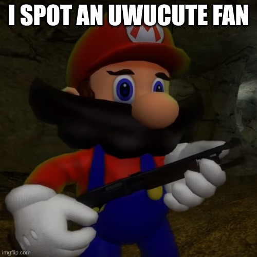 Mario with Shotgun | I SPOT AN UWUCUTE FAN | image tagged in mario with shotgun | made w/ Imgflip meme maker