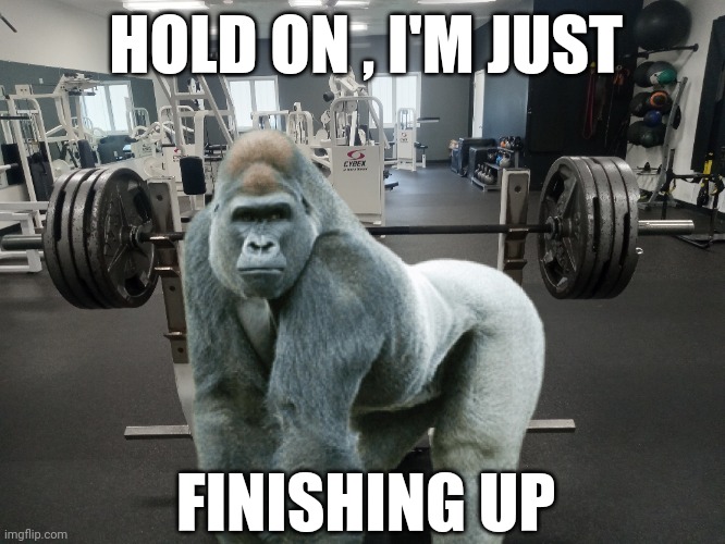 gorilla | HOLD ON , I'M JUST; FINISHING UP | image tagged in gym memes | made w/ Imgflip meme maker