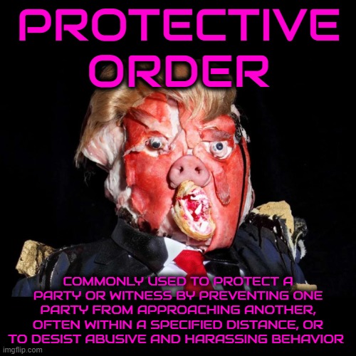 PROTECTIVE     ORDER | PROTECTIVE ORDER; COMMONLY USED TO PROTECT A PARTY OR WITNESS BY PREVENTING ONE PARTY FROM APPROACHING ANOTHER, OFTEN WITHIN A SPECIFIED DISTANCE, OR TO DESIST ABUSIVE AND HARASSING BEHAVIOR | image tagged in protective order,court order,restraining order,harrassment,abuse,criminal | made w/ Imgflip meme maker