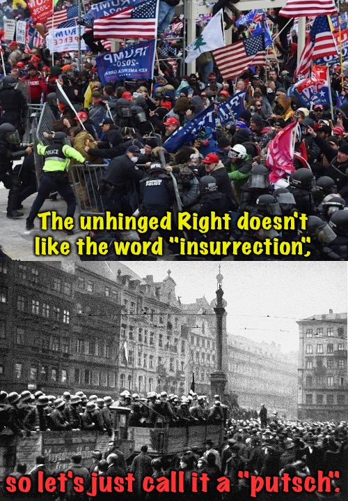 Both were dismal failures. | The unhinged Right doesn't like the word "insurrection", so let's just call it a "putsch". | image tagged in capitol insurrection,beer hall putsch | made w/ Imgflip meme maker