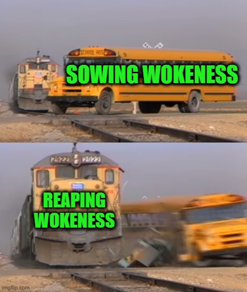Whirlwind Time | SOWING WOKENESS; REAPING WOKENESS | image tagged in a train hitting a school bus | made w/ Imgflip meme maker