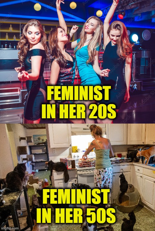 Crazy Cat Lady or Grandmother, your choice. | FEMINIST
IN HER 20S; FEMINIST
IN HER 50S | image tagged in feminist | made w/ Imgflip meme maker