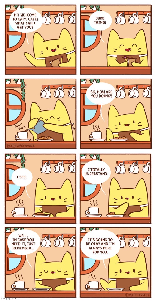 Interact with cat (kinda) | image tagged in cat,coffee | made w/ Imgflip meme maker