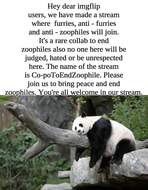 Co-opToEndZoophiles. | Hey dear imgflip users, we have made a stream where  furries, anti - furries and anti - zoophiles will join. It's a rare collab to end zoophiles also no one here will be judged, hated or be unrespected here. The name of the stream is Co-poToEndZoophile. Please join us to bring peace and end zoophiles. You're all welcome in our stream. | image tagged in lazy panda,anti - zoophiles,co-optoendzoophiles | made w/ Imgflip meme maker