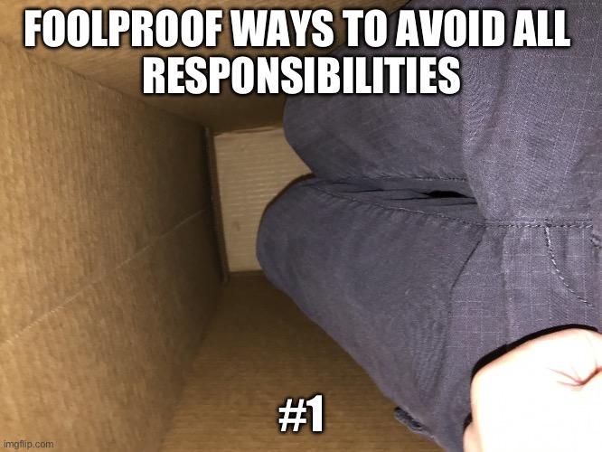 Guy in Box | FOOLPROOF WAYS TO AVOID ALL 
RESPONSIBILITIES; #1 | image tagged in guy in box | made w/ Imgflip meme maker