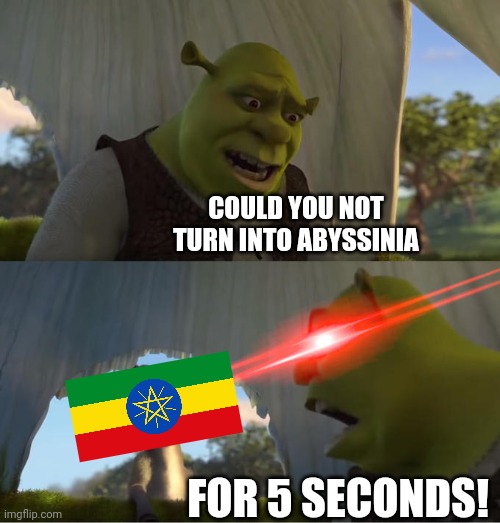 Another Age of History 2 Meme | COULD YOU NOT TURN INTO ABYSSINIA; FOR 5 SECONDS! | image tagged in shrek for five minutes | made w/ Imgflip meme maker