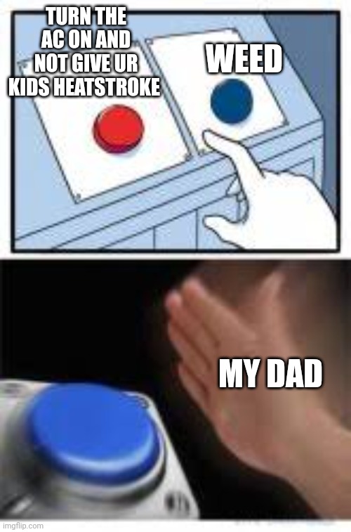 Red and Blue Buttons | WEED; TURN THE AC ON AND NOT GIVE UR KIDS HEATSTROKE; MY DAD | image tagged in red and blue buttons | made w/ Imgflip meme maker