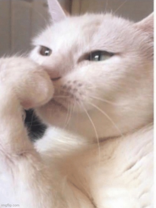SMUDGE DEEP THOUGHTS | image tagged in smudge deep thoughts | made w/ Imgflip meme maker