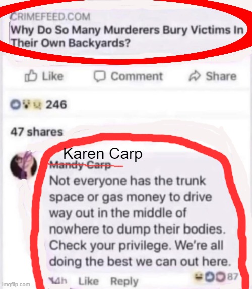 That Splains It! | Karen Carp | image tagged in dark humor,murder,buried,victims,simple explanation professor,karen | made w/ Imgflip meme maker
