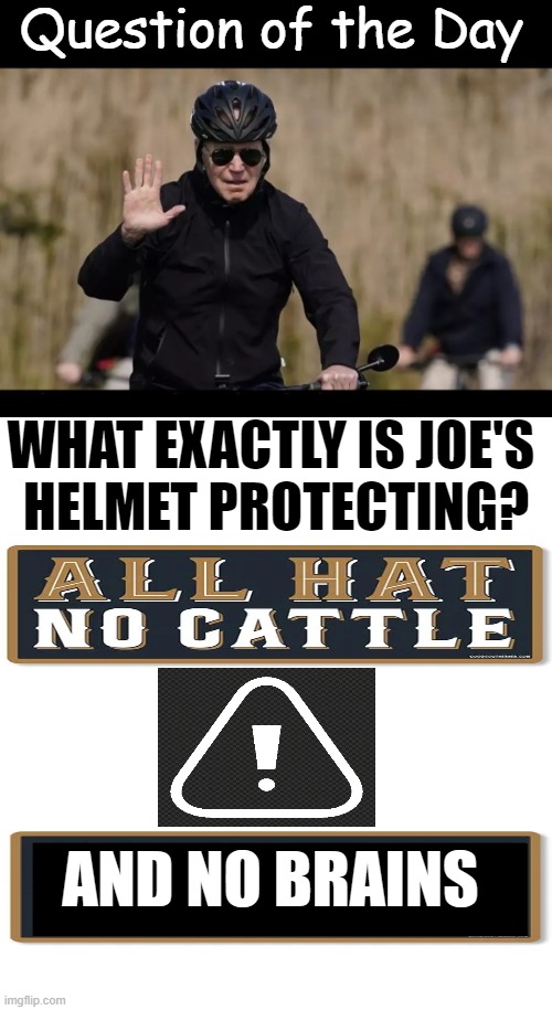 The only thing I can think of is his hair transplants . . . | image tagged in politics,joe biden,helmet,protection,big brain time,political humor | made w/ Imgflip meme maker