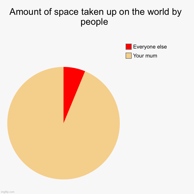 Amount of space taken up on the world by people  | Your mum , Everyone else | image tagged in charts,pie charts | made w/ Imgflip chart maker