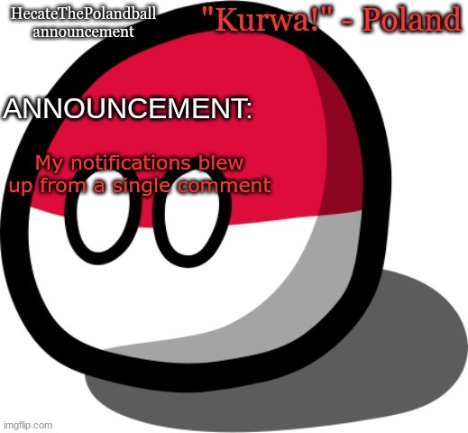 HecateThePolandball temp | My notifications blew up from a single comment | image tagged in hecatethepolandball temp | made w/ Imgflip meme maker