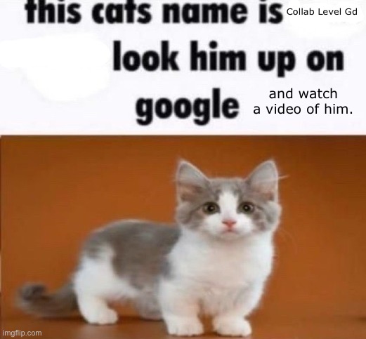 this cats name is x look him up on google | Collab Level Gd; and watch a video of him. | image tagged in this cats name is x look him up on google | made w/ Imgflip meme maker