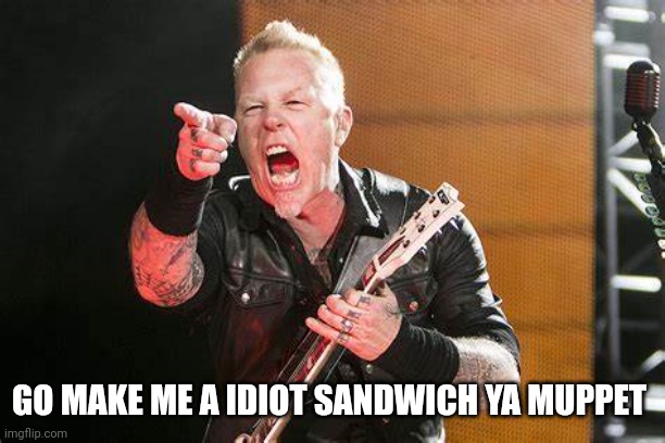 James Hetfield give that guy a | GO MAKE ME A IDIOT SANDWICH YA MUPPET | image tagged in james hetfield give that guy a | made w/ Imgflip meme maker