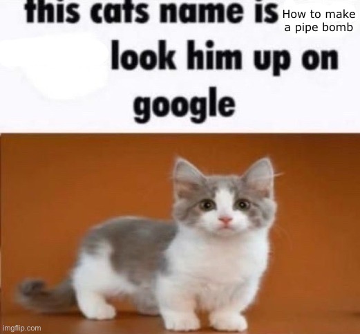 this cats name is x look him up on google | How to make a pipe bomb | image tagged in this cats name is x look him up on google | made w/ Imgflip meme maker