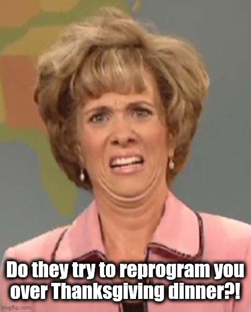 Kristen Wiig | Do they try to reprogram you
over Thanksgiving dinner?! | image tagged in kristen wiig | made w/ Imgflip meme maker