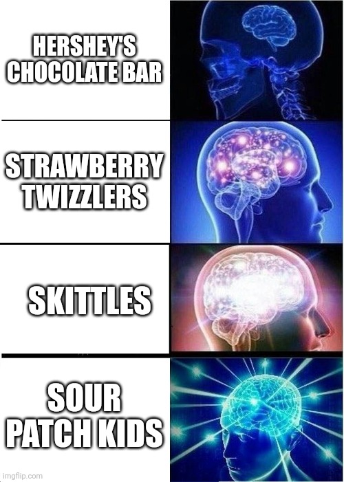 My opinion I guess | HERSHEY'S CHOCOLATE BAR; STRAWBERRY TWIZZLERS; SKITTLES; SOUR PATCH KIDS | image tagged in memes,expanding brain | made w/ Imgflip meme maker