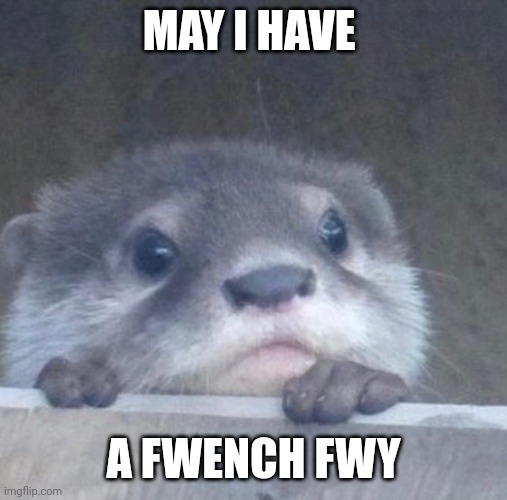 When an otter asks for a fwench fwy | MAY I HAVE; A FWENCH FWY | image tagged in i otter | made w/ Imgflip meme maker