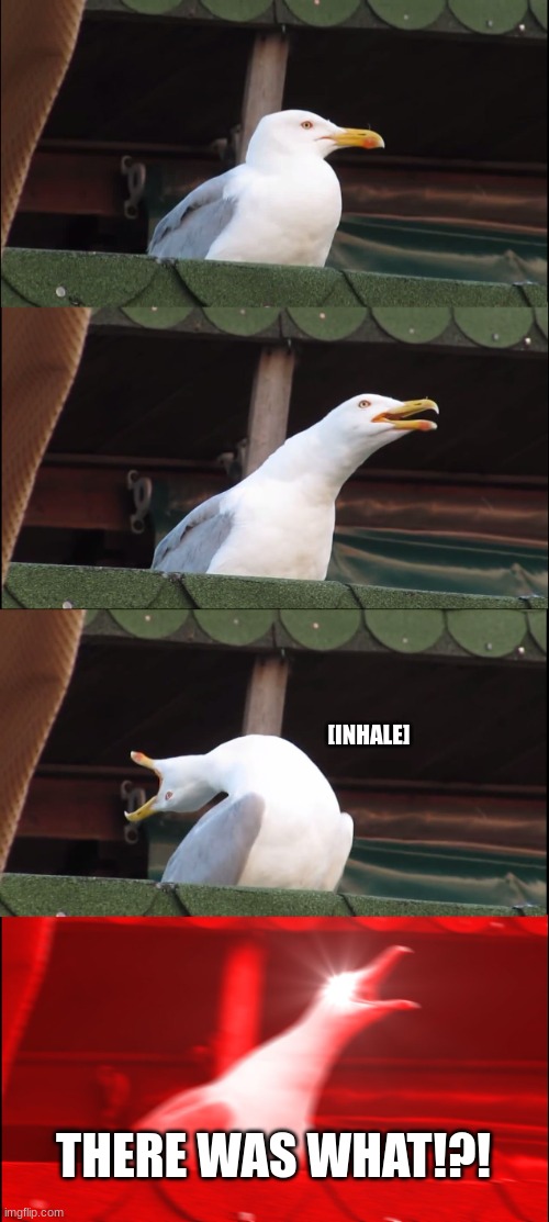 when someone tells you they met dome karens once | [INHALE] THERE WAS WHAT!?! | image tagged in memes,inhaling seagull | made w/ Imgflip meme maker