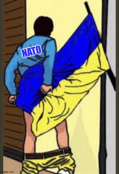 It was always about using Ukraine as canon fodder to get rid of Putin...  and make some money doing it... | NATO | image tagged in nato,ukraine flag,liars | made w/ Imgflip meme maker
