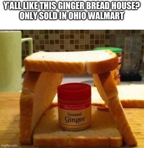 AMAZING. | Y’ALL LIKE THIS GINGER BREAD HOUSE?
ONLY SOLD IN OHIO WALMART | image tagged in memes,gingerbread | made w/ Imgflip meme maker