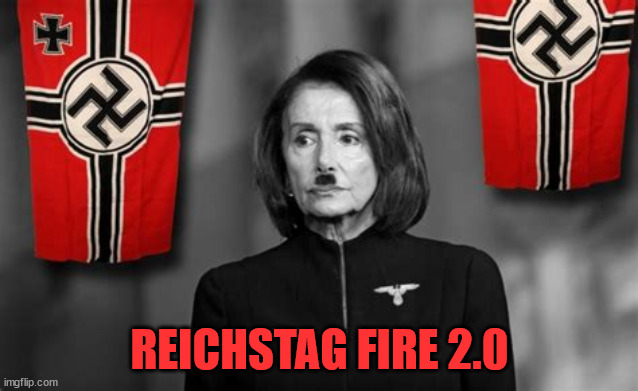 Fedsurrection | REICHSTAG FIRE 2.0 | image tagged in nazi,pelosi | made w/ Imgflip meme maker