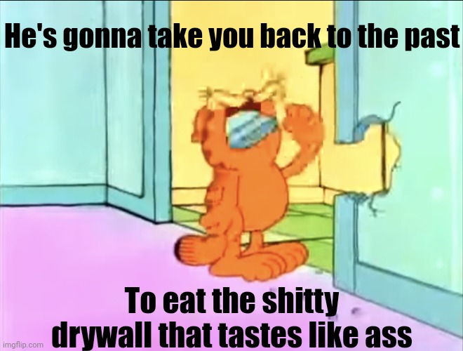 Angry video game cat | He's gonna take you back to the past; To eat the shitty drywall that tastes like ass | image tagged in garfield drywall,avgn,stop it get some help,drywall,why does this taste like,ass | made w/ Imgflip meme maker
