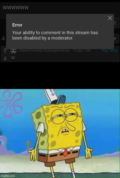 Why tf did I got comment ban in the furries stream? I never did anything against it | image tagged in confused spongebob,memes,wat | made w/ Imgflip meme maker