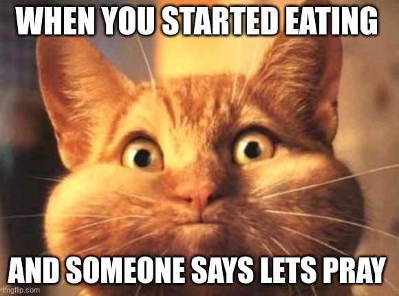 Full Mouth Cat | WHEN YOU STARTED EATING; AND SOMEONE SAYS LETS PRAY | image tagged in full mouth cat,facts,funny meme,so true memes | made w/ Imgflip meme maker