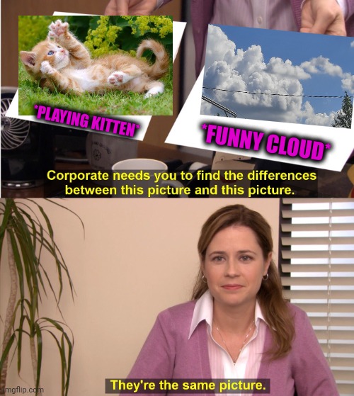 -Kitten long plays. | *PLAYING KITTEN*; *FUNNY CLOUD* | image tagged in memes,they're the same picture,cute kittens,mushroomcloudy,so true,blue sky | made w/ Imgflip meme maker