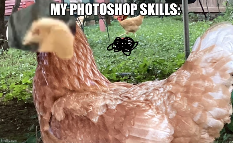 Frickin chickin | MY PHOTOSHOP SKILLS: | image tagged in photoshop,chicken | made w/ Imgflip meme maker