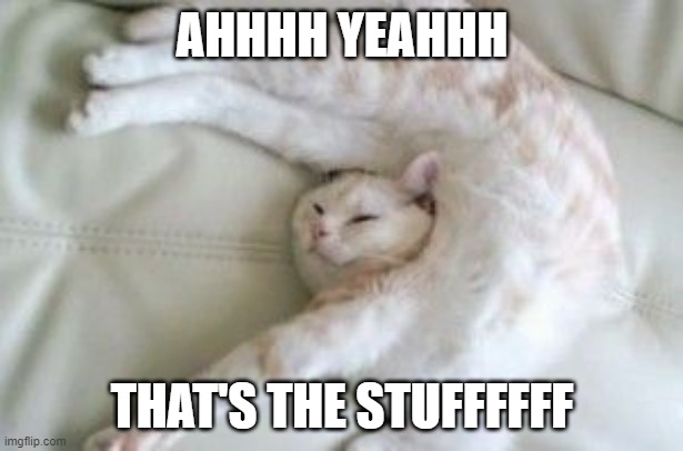 relaxed cat | AHHHH YEAHHH THAT'S THE STUFFFFFF | image tagged in relaxed cat | made w/ Imgflip meme maker