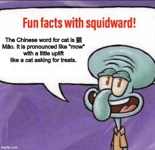 Fun Facts with Squidward | The Chinese word for cat is 猫

Māo. It is pronounced like "mow" with a little uplift like a cat asking for treats. | image tagged in fun facts with squidward,cat,mow | made w/ Imgflip meme maker