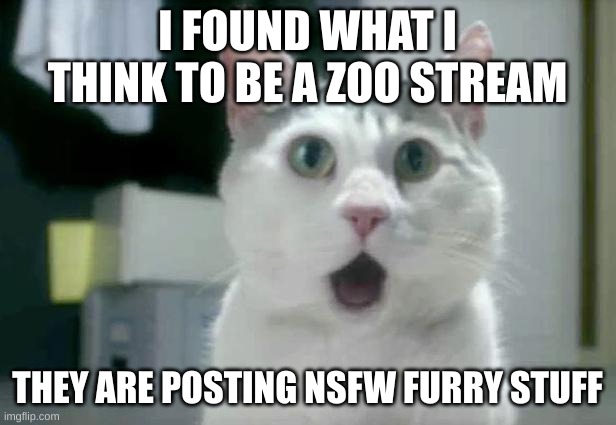 Look up furrys and go into the stream | I FOUND WHAT I THINK TO BE A ZOO STREAM; THEY ARE POSTING NSFW FURRY STUFF | image tagged in memes,omg cat | made w/ Imgflip meme maker