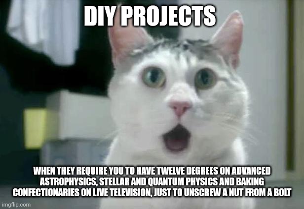 I'm never doing diy projects for super geniuses | DIY PROJECTS; WHEN THEY REQUIRE YOU TO HAVE TWELVE DEGREES ON ADVANCED ASTROPHYSICS, STELLAR AND QUANTUM PHYSICS AND BAKING CONFECTIONARIES ON LIVE TELEVISION, JUST TO UNSCREW A NUT FROM A BOLT | image tagged in memes,omg cat | made w/ Imgflip meme maker