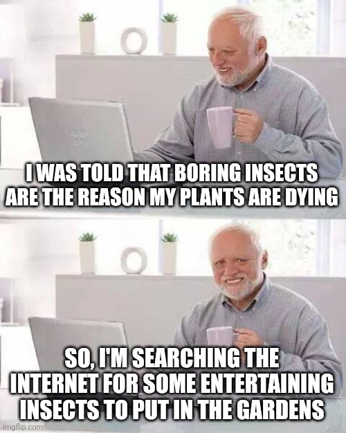 Not so boring insects? | I WAS TOLD THAT BORING INSECTS ARE THE REASON MY PLANTS ARE DYING; SO, I'M SEARCHING THE INTERNET FOR SOME ENTERTAINING INSECTS TO PUT IN THE GARDENS | image tagged in memes,hide the pain harold,insects,satire,insect,gardening | made w/ Imgflip meme maker