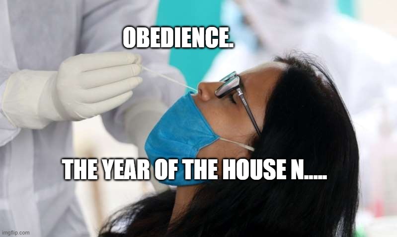 Covid test | OBEDIENCE. THE YEAR OF THE HOUSE N..... | image tagged in covid test | made w/ Imgflip meme maker