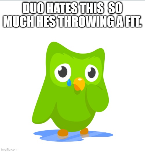 Sad Duolingo Bird | DUO HATES THIS  SO MUCH HES THROWING A FIT. | image tagged in sad duolingo bird | made w/ Imgflip meme maker