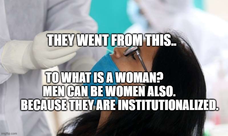 Covid test | THEY WENT FROM THIS.. TO WHAT IS A WOMAN?         MEN CAN BE WOMEN ALSO.    
       BECAUSE THEY ARE INSTITUTIONALIZED. | image tagged in covid test | made w/ Imgflip meme maker