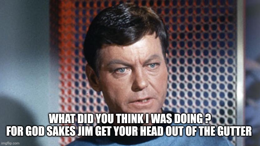 Dr McCoy | WHAT DID YOU THINK I WAS DOING ?
FOR GOD SAKES JIM GET YOUR HEAD OUT OF THE GUTTER | image tagged in dr mccoy | made w/ Imgflip meme maker