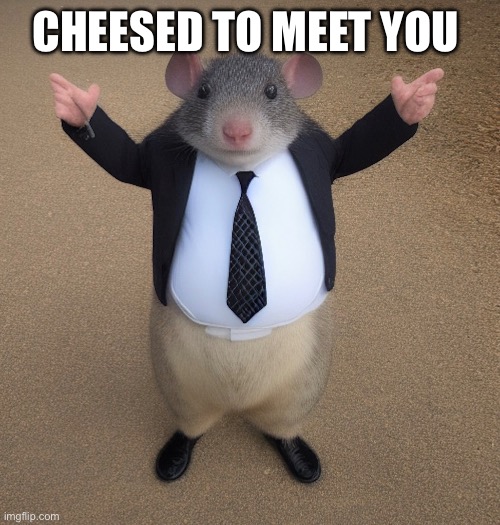 He got the chedda | CHEESED TO MEET YOU | image tagged in funny | made w/ Imgflip meme maker