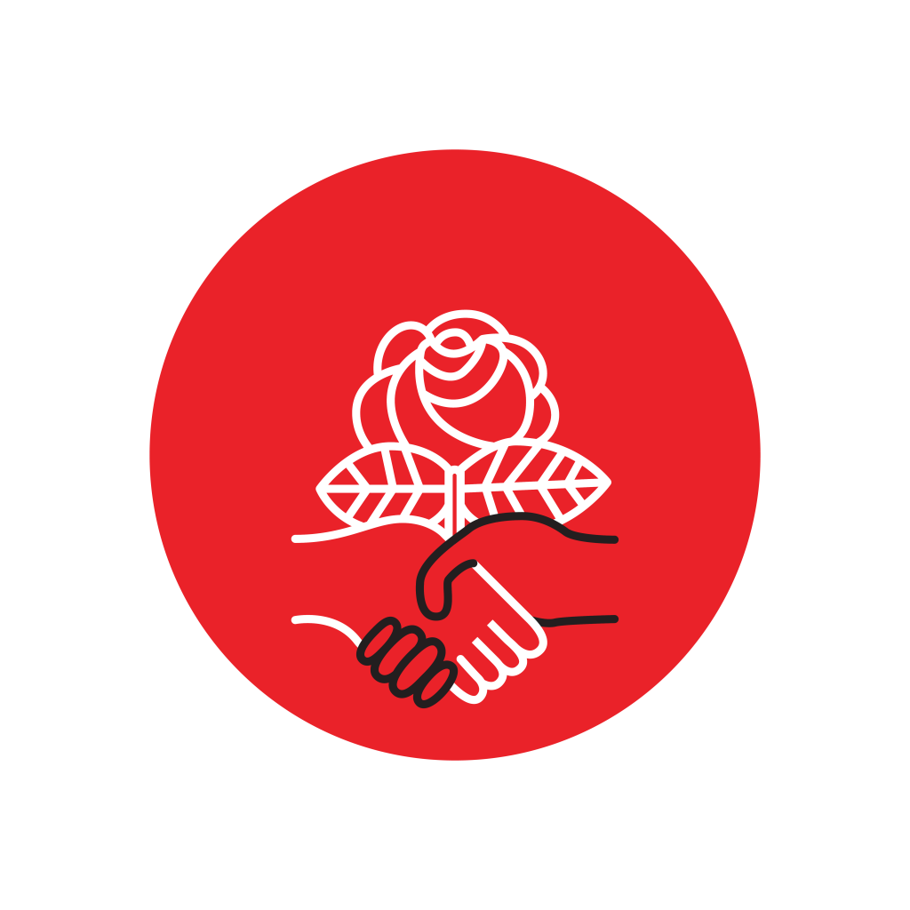 DSA logo Blank Meme Template