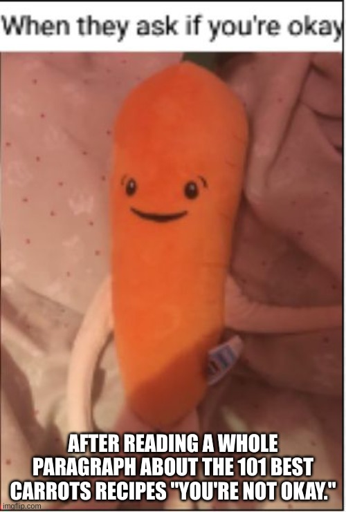 AFTER READING A WHOLE PARAGRAPH ABOUT THE 101 BEST CARROTS RECIPES "YOU'RE NOT OKAY." | made w/ Imgflip meme maker