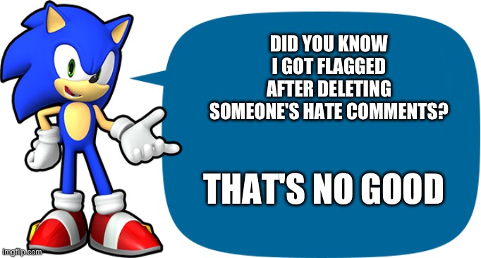 Sonic Sez | DID YOU KNOW I GOT FLAGGED AFTER DELETING SOMEONE'S HATE COMMENTS? THAT'S NO GOOD | image tagged in sonic sez | made w/ Imgflip meme maker